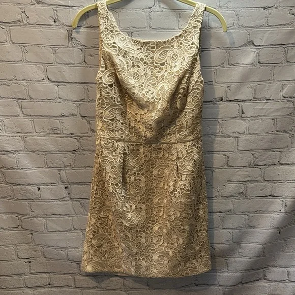Aidan Mattox | Sleeveless Lace Jacquard Champagne Mini Cocktail Dress | Size 8 - Picture 3 of 8